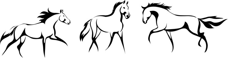Seco Estudo de Cavalos - Clarice Lispector